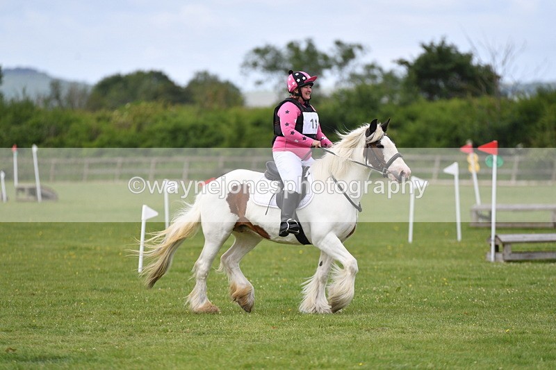 WJ5_2547 - Class 2 40cm