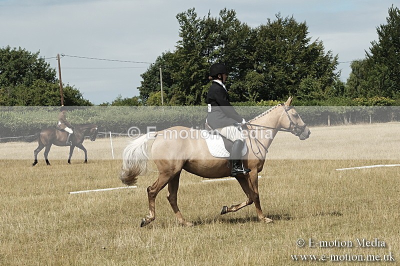 _PJP5802 - Dressage Classes BVRC Show 2018