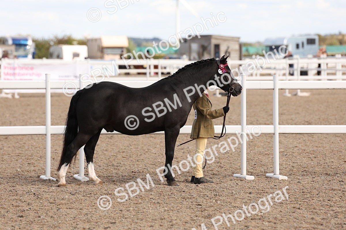 SBM_15028 - Class 209 - IH Veteran Pony