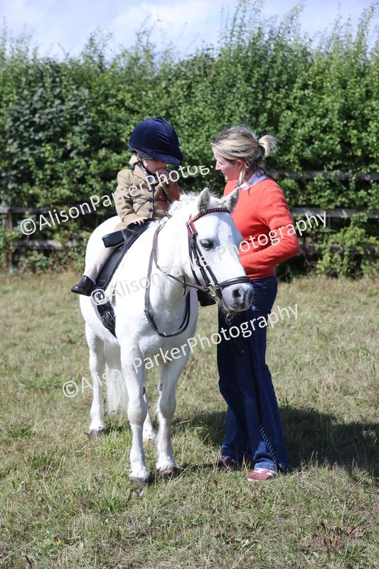 20250831-3202 - Class 24 - Absolute Beginners Pony
