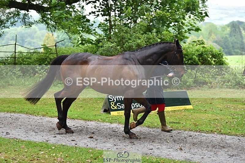 240522-164704-01154 - 220-BALLINAMURRA_FLARE_STAR-Mary_Mason