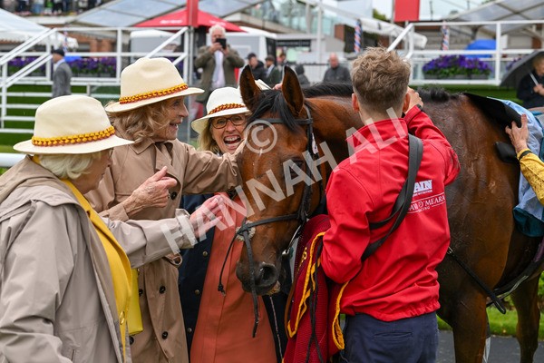 150624-Race 6-Pisanello-8096 - Race 6 4.45pm Ice Co Supporting Macmillan Handicap