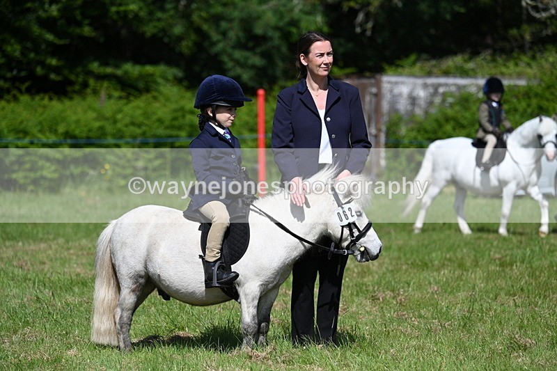 WJ7_0771 - Class 8 First Rally Pony