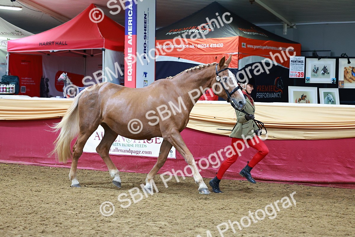SBM_16137