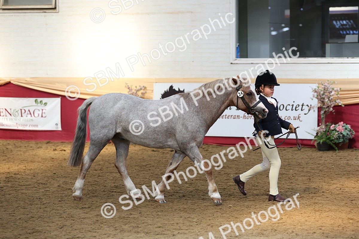 SBM_24129 - Class 905 - Supreme Final - Ridden Veteran