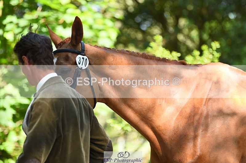 230524-154714-00503 - 370-DUKE_LEGACY-William_Fox-Pitt-WEDTrotUp+DR