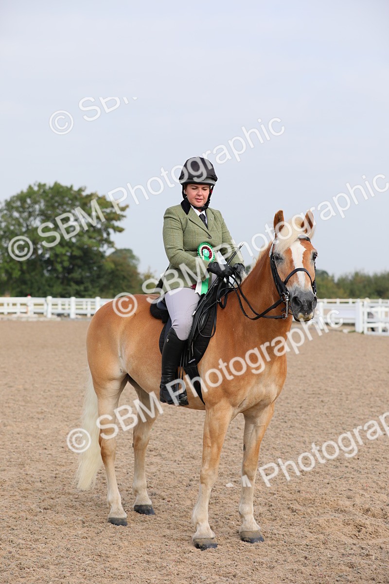 SBM_10737 - Class 303 Ridden Pure Bred Horse/Pony (excl M&M)
