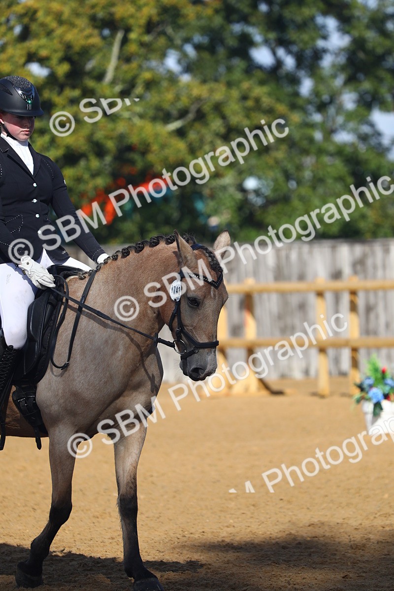 SBM_38991 - D21 - Junior Championship Intro 1