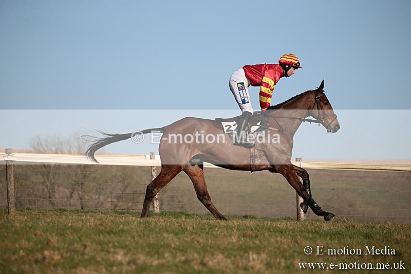 PtP 230219 488 - Vine & Craven Point-To-Point - Barbury 23/02/19