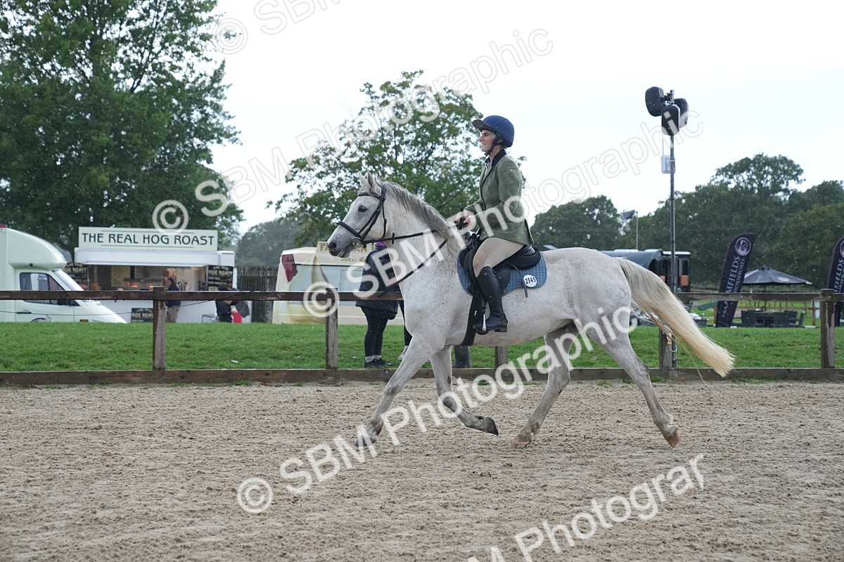 SBM_01733 - J54 - Clear Round 50cm