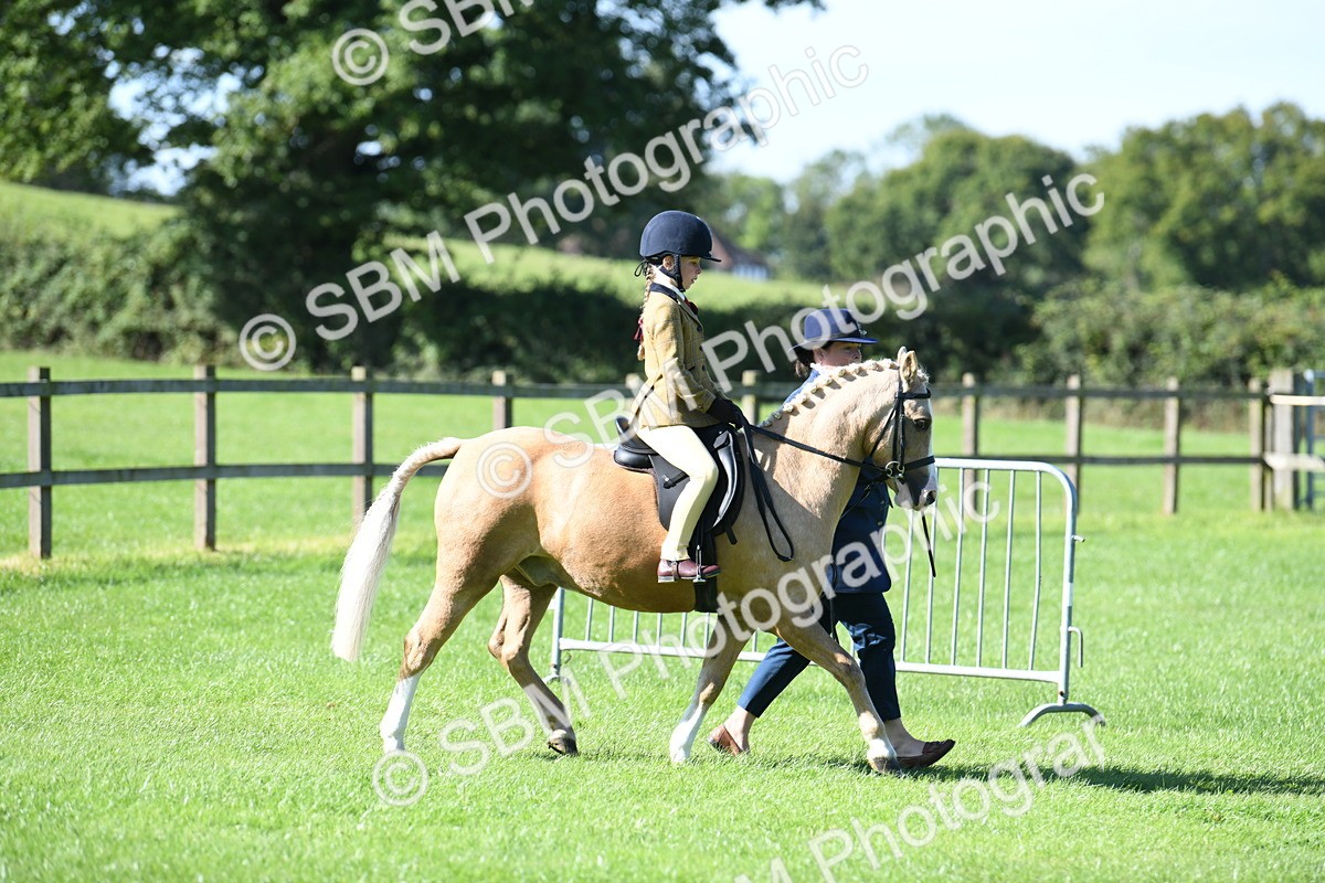 SBM_39541 - S18 - Novice & Newcomers Lead Rein Pony