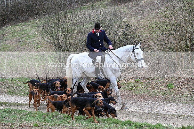 WJ7_7335 - Walk Home