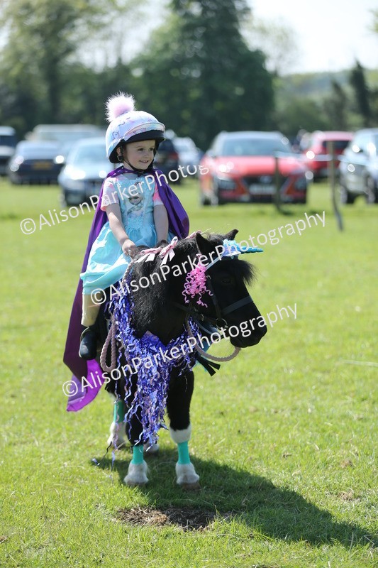 20250427-1813 - Class 5 - Fancy Dress