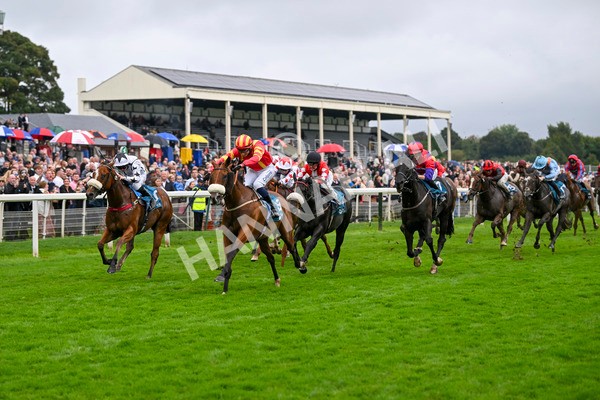 080924-Race 6-Northern Spirit-9466 - Race 6 4.35pm Hanson Springs Handicap