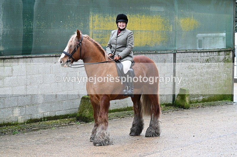 WJ7_8714 - Berks & Bucks - Rowles Farm 15-02-26