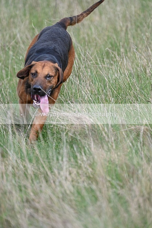 WJ7_8040 - Line 2 A camera