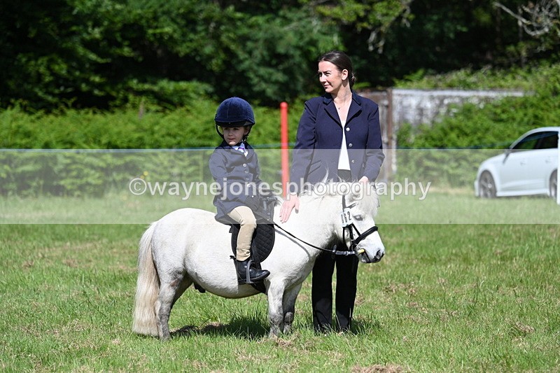 WJ7_0767 - Class 8 First Rally Pony