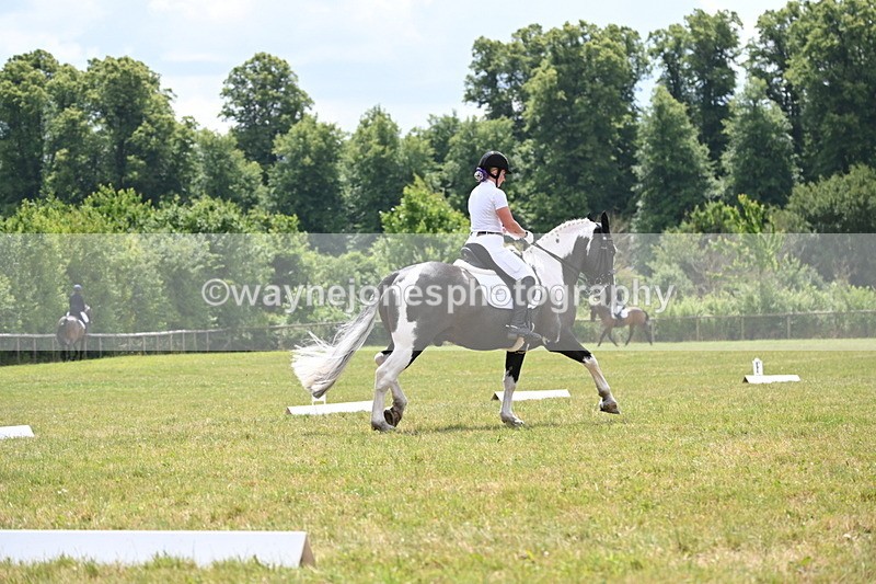WJ6_6847 - Time 11:48 to 12:22