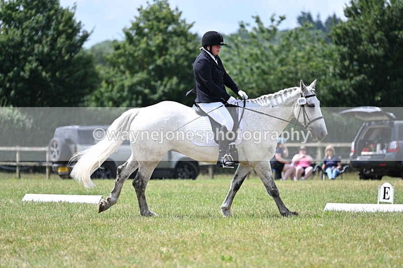 WJ7_4957 - Time 11:22 to 11:51