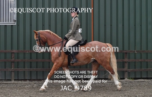 JAC_9789 - CLASS 2 Novice Working Hunter (0.60m - 0.70m)