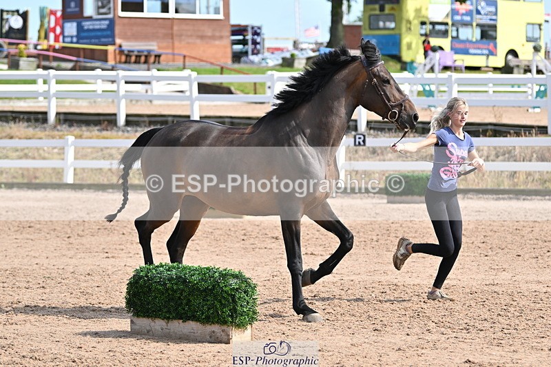 240717A-160328-03302 - Trot Up 4pm to 5pm