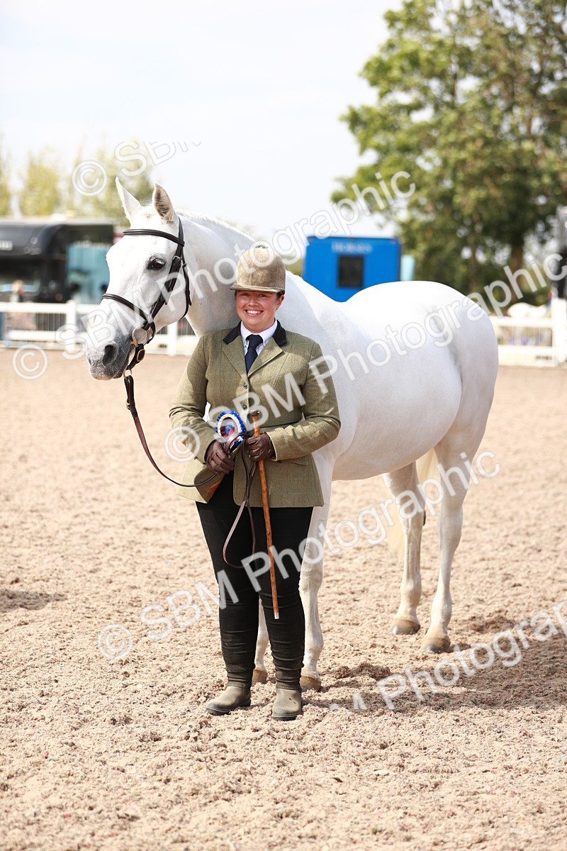 SBM_13298 - Class 208 IH Veteran Horse