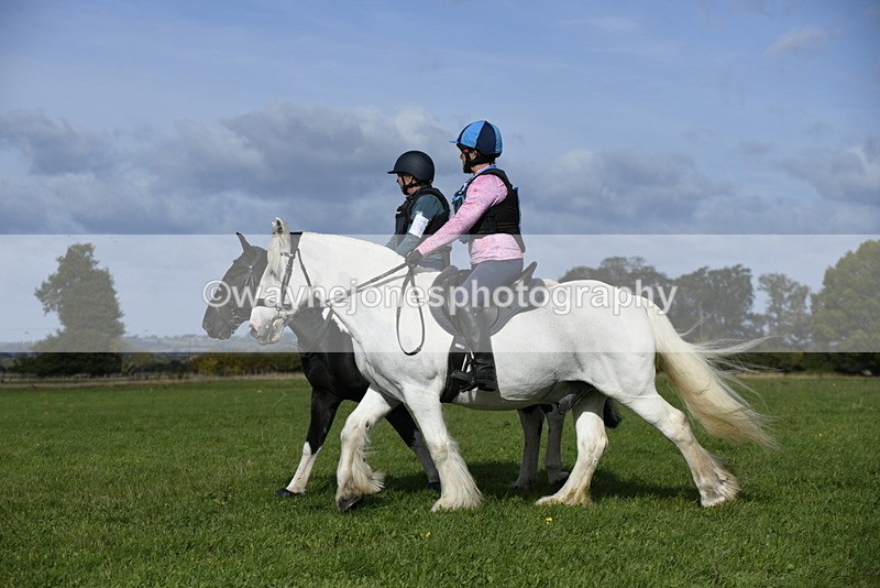 _DSC6398 - Time 11:23 to 12:05