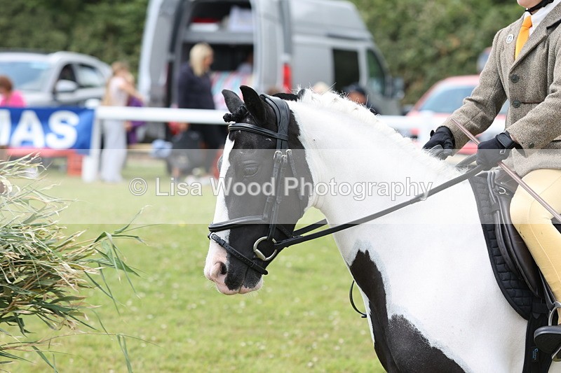 JPP_1956 - Class 18: Tiny Tots Working Hunter Pony