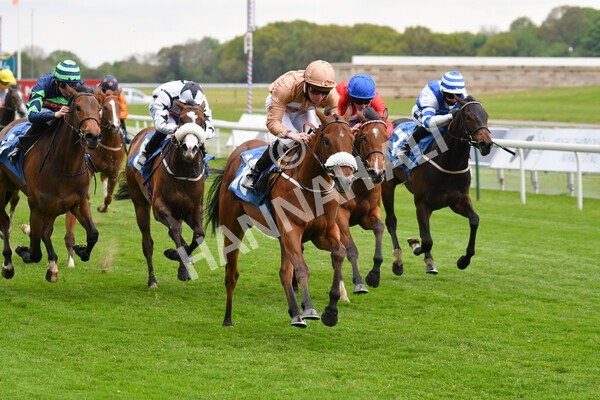 yr14052021r1-20 - Race 1 1.40pm Langleys Solicitors British EBF Marygate Fillies' Stakes