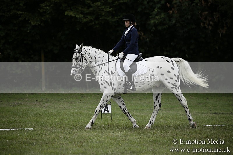 BVR080918 276 - BVRC Novice Dressage & CR 08/09/18
