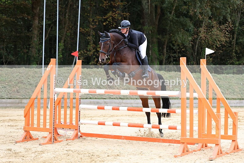 3E7A3385 - Class 9: Senior Foxhunter/1.20 open
