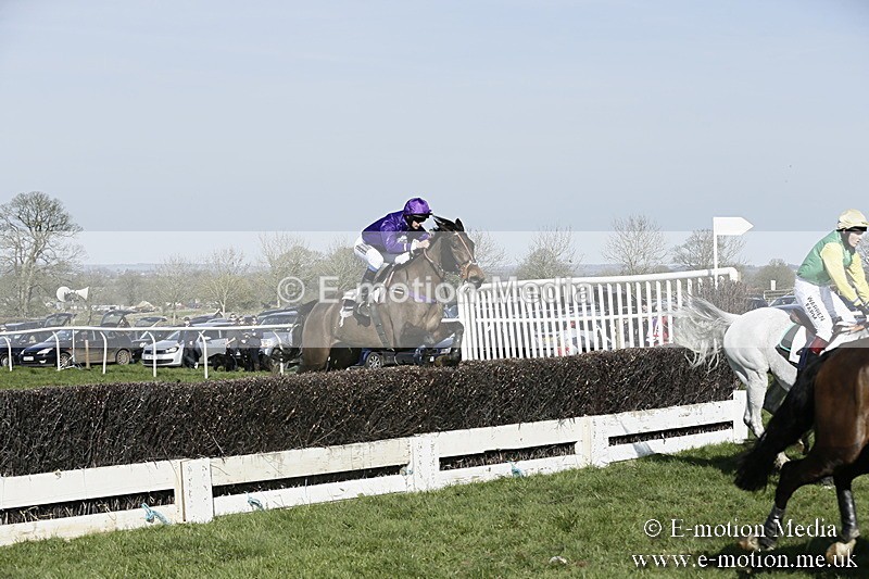 PtP 260317 268 - Mendip Farmers Point-to-Point Ston Easton 26/03/17