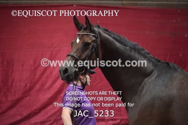 JAC_5233 - 10 Dante's Hermes ELS