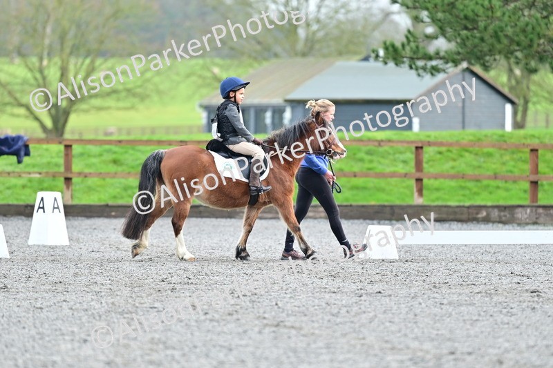 20260125-0951 - Class 9a - Walk Trot Assisted