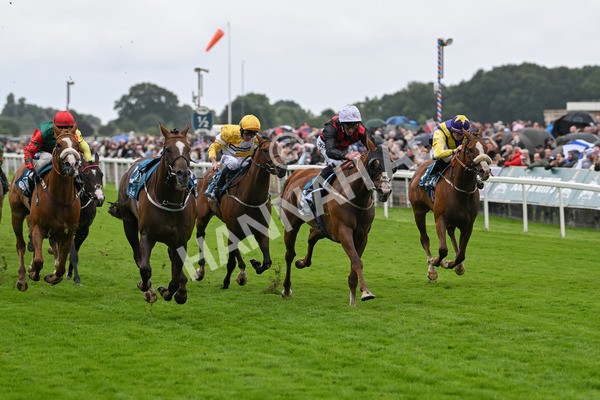 130724-Race 1-Blue For You-6940 - Race 1 2.00pm John Smith's Racing Handicap