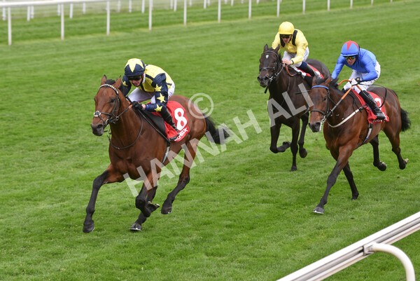 yr14052021r3-23 - Race 3 2.40pm The Matchbook Best Value Exchange Stakes