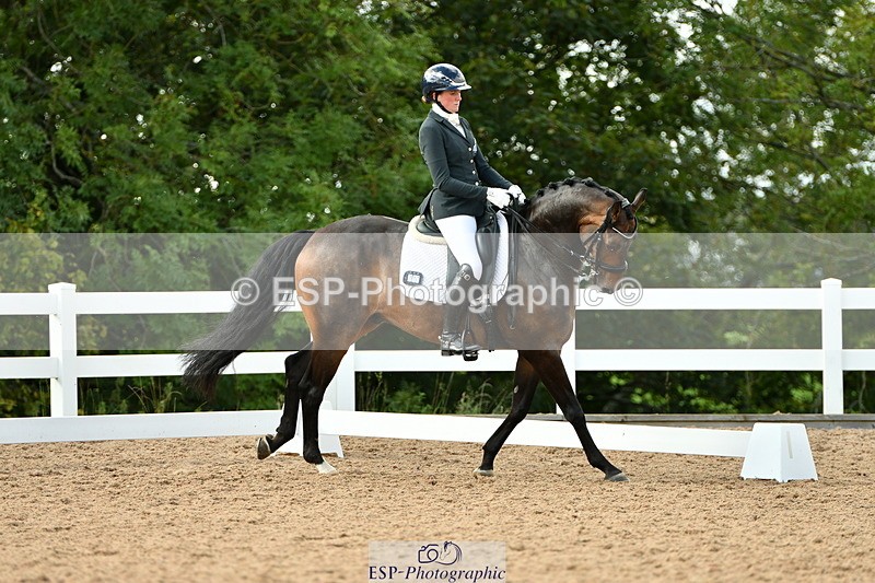 230912A-155015-01658 - Cls 13 Adv Medium 91