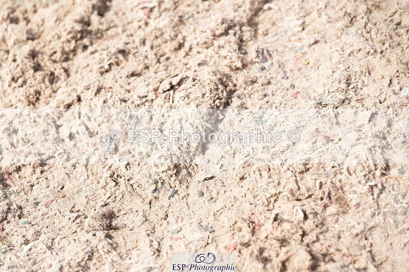 250815-134552-01297 - 1.30pm Presentations