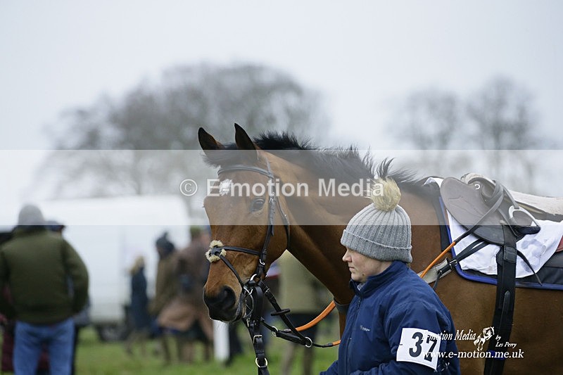 PtP 200222 639 - Countryside Alliance PtP Badbury Rings 20/02/22