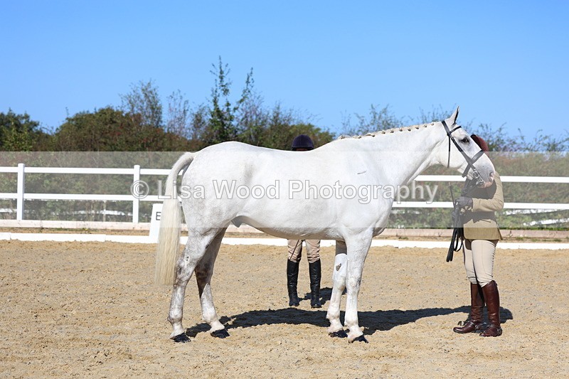 3E7A5566 - Class 9: Open Ridden Hunter