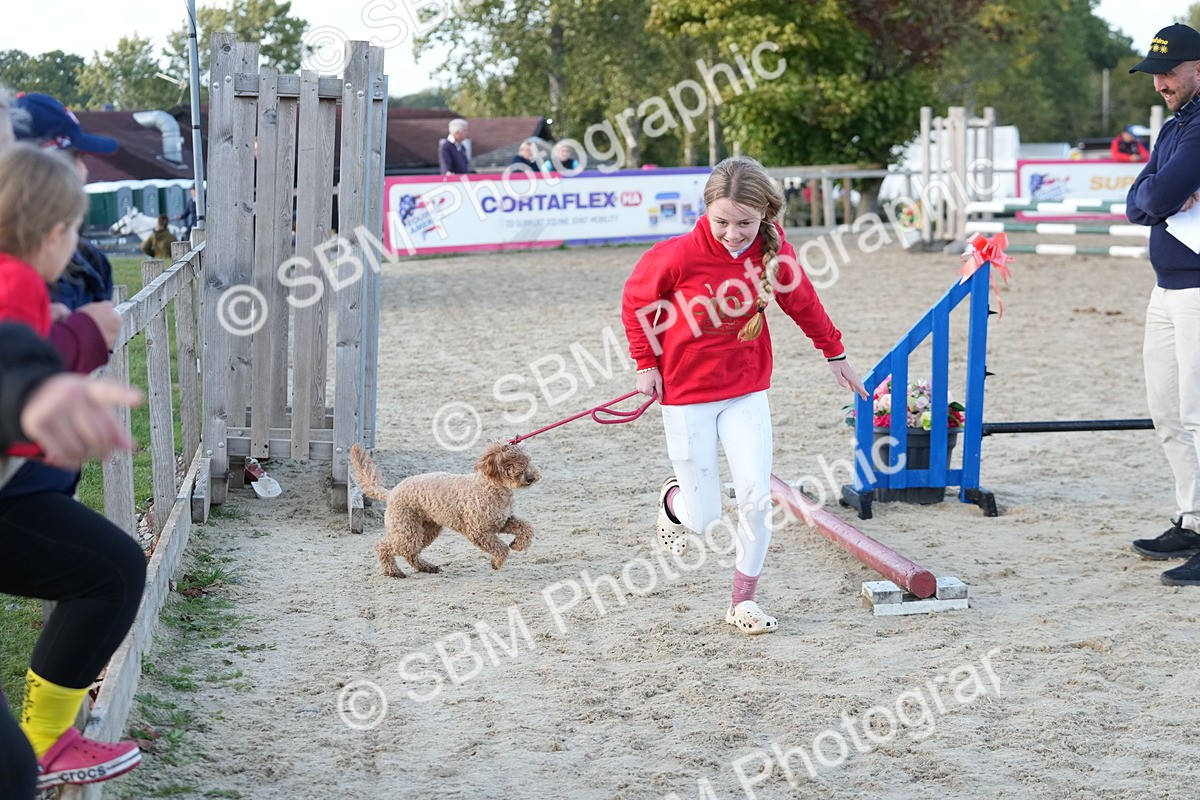 SBM_29473 - J44 - Horse & Hound Open 70cm