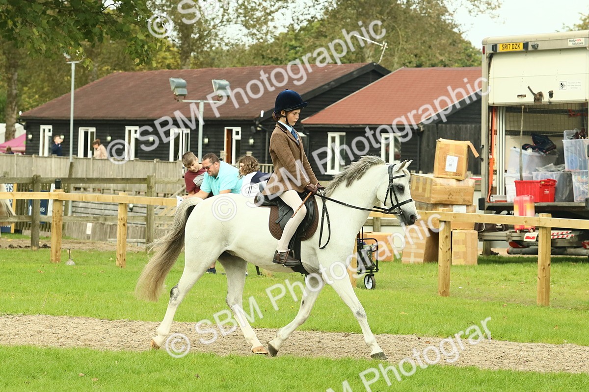 SBM_69913 - S59 - Mountain & Moorland Ridden Small Breeds