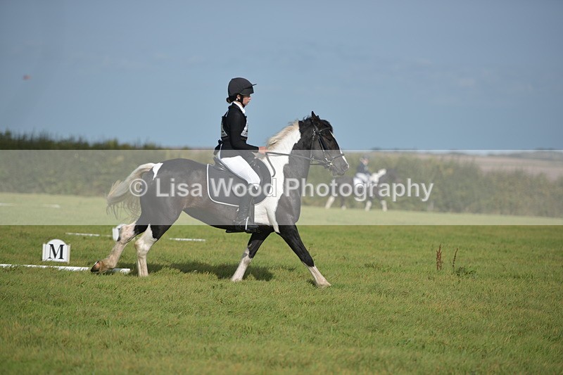 RAY_7642 - Class 2B: Trekenning Open: Dressage
