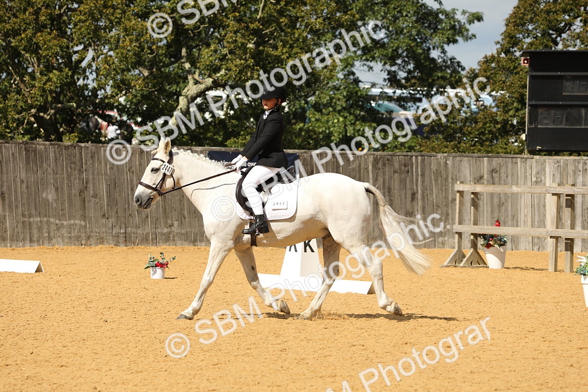 SBM_43604 - D21 - Junior Championship - Intro A