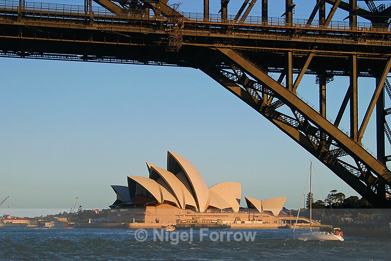 Sydney Opera House and detail of the Bridge in late afternoon sun - Australia