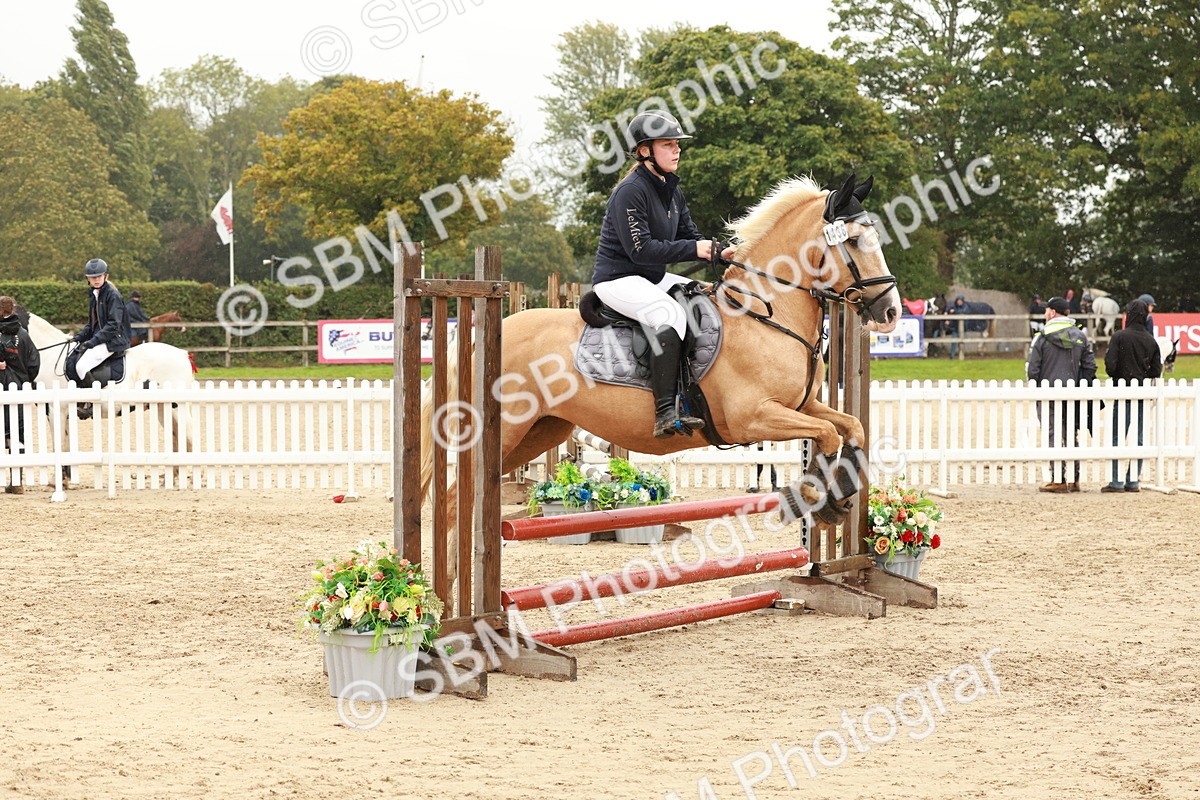 SBM_71149 - J14 - Junior Pony 65cm Championship