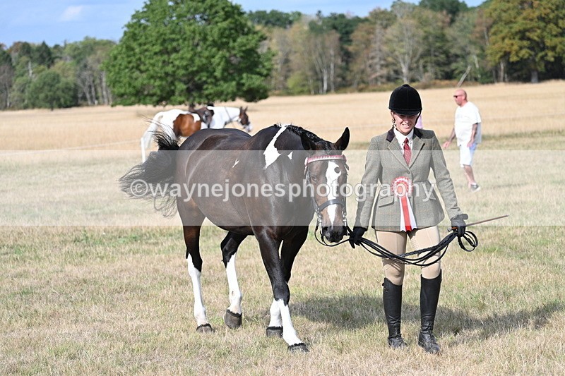 WJ7_8050 - In-hand Championship