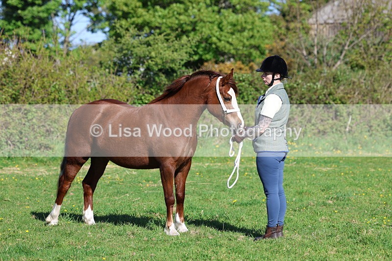 3E7A8635 - Class 13: M & M Large Breeds