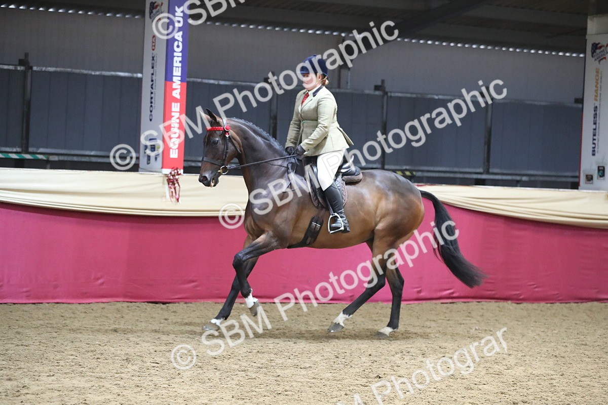 SBM_12347 - Class 108 Ridden Retired Racehorse- Pre Judging