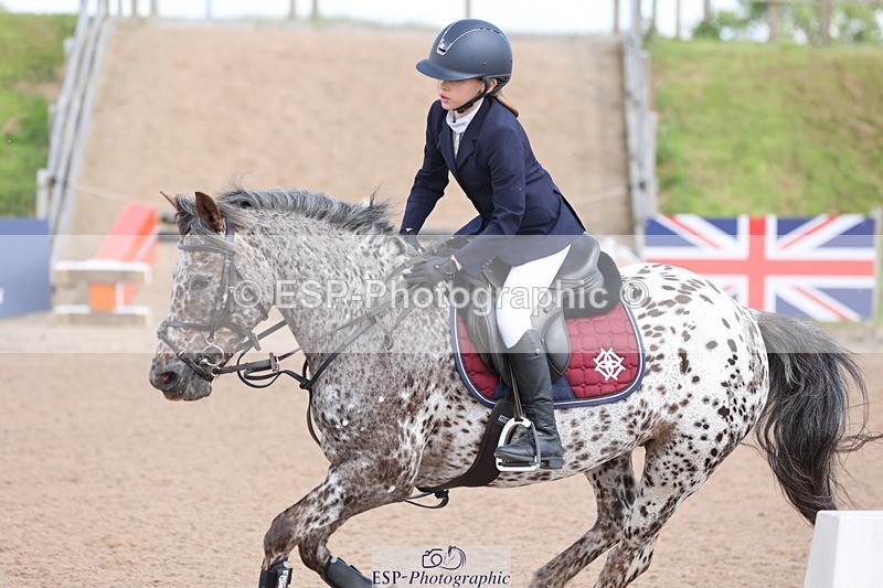 240714A-150014-02563 - Cls 14-15-16  CR & 60cm